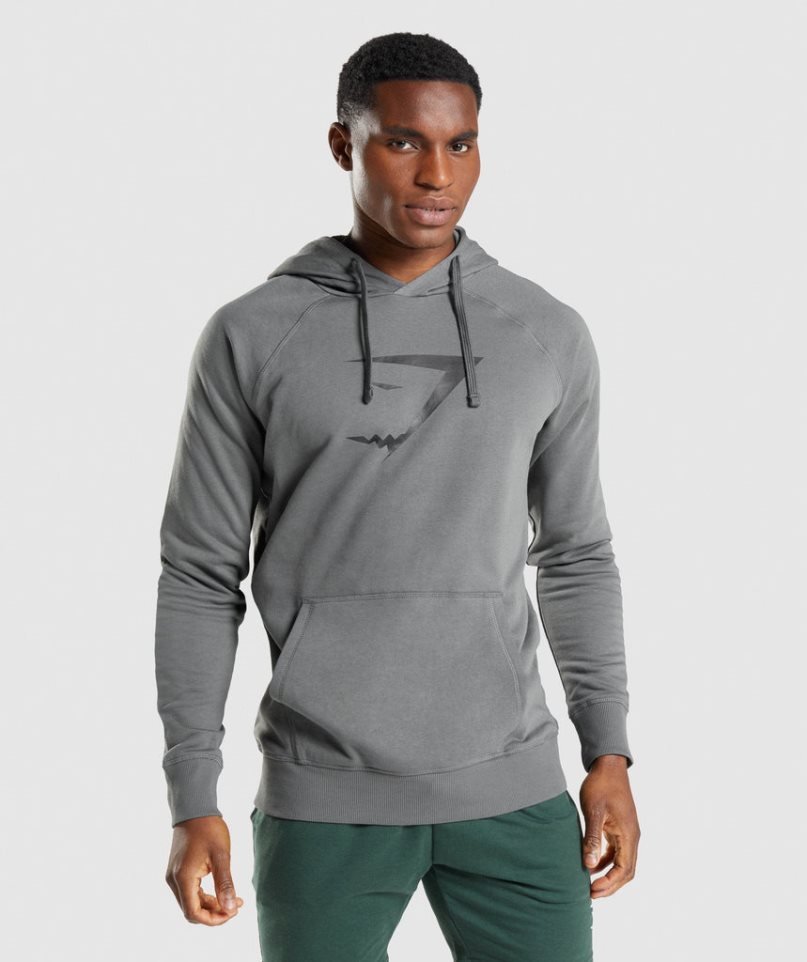 Men\'s Gymshark Sharkhead Infill Hoodie Grey | CA 6N0153